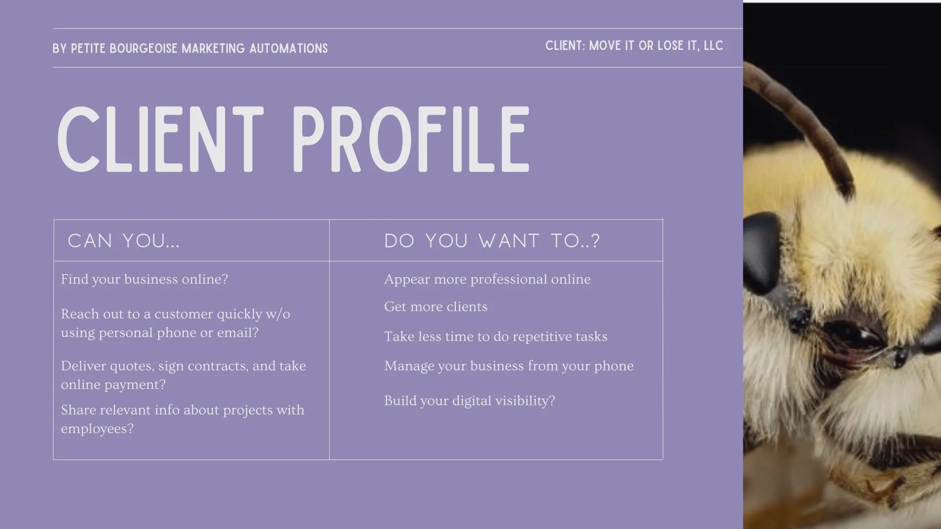 Proposal slide: client profile