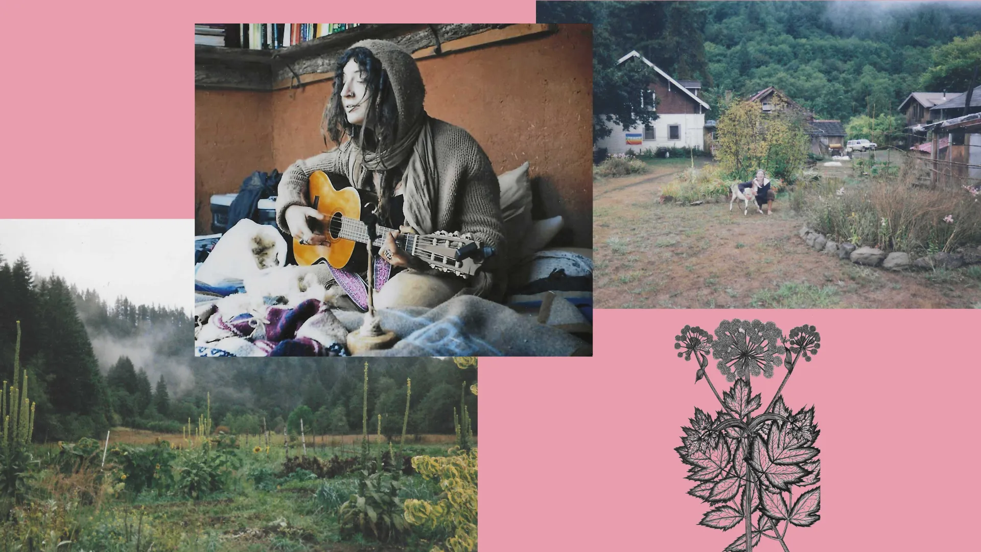 The artist at home and in the garden, photo collage