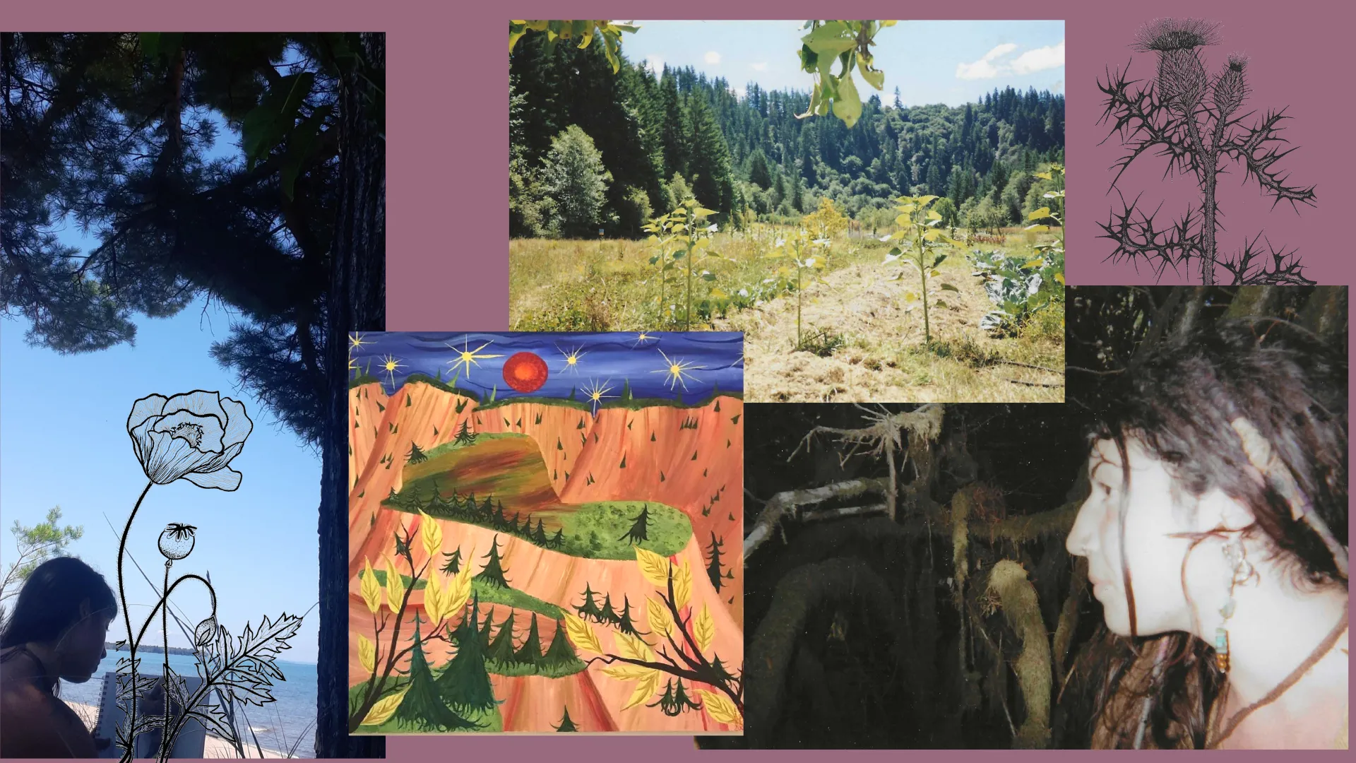Landscape inspiration collage
