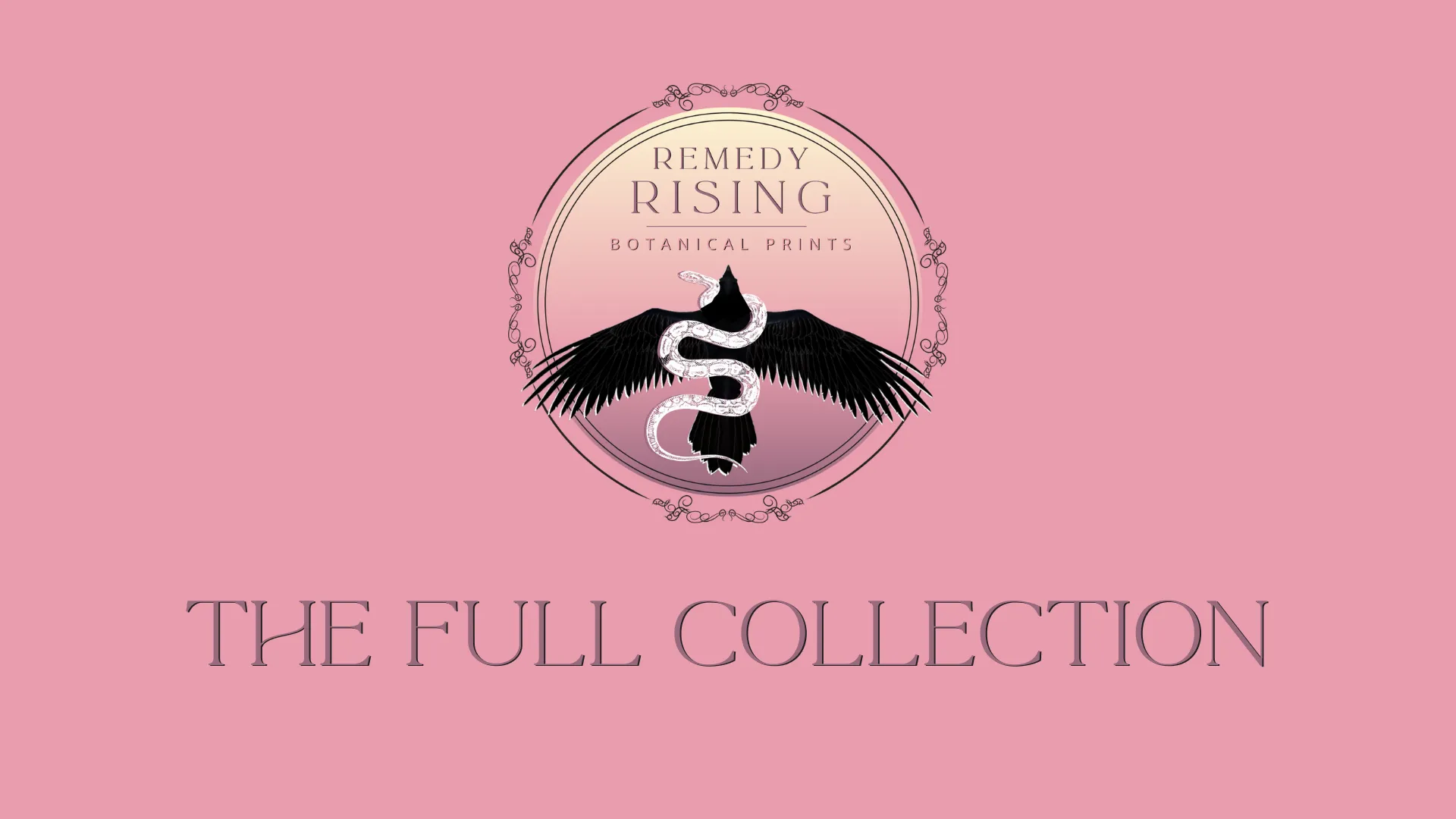 "The Full Collection" title card