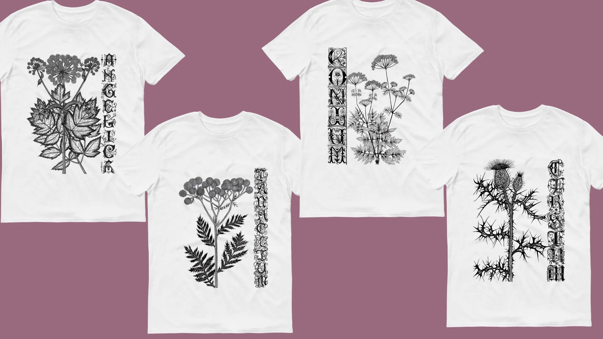 Botanical t-shirt collection, part one
